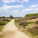 ホテル Fletcher Wellness-hotel Brabant-mill 4*