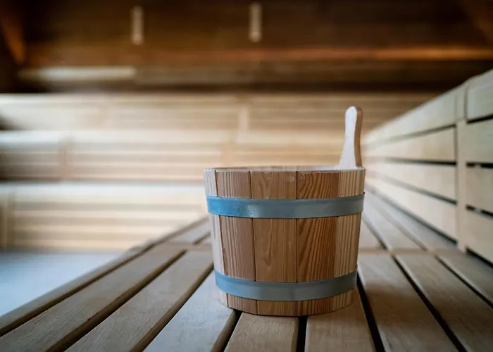 Fletcher Wellness-hotel Brabant-mill 4* Mill