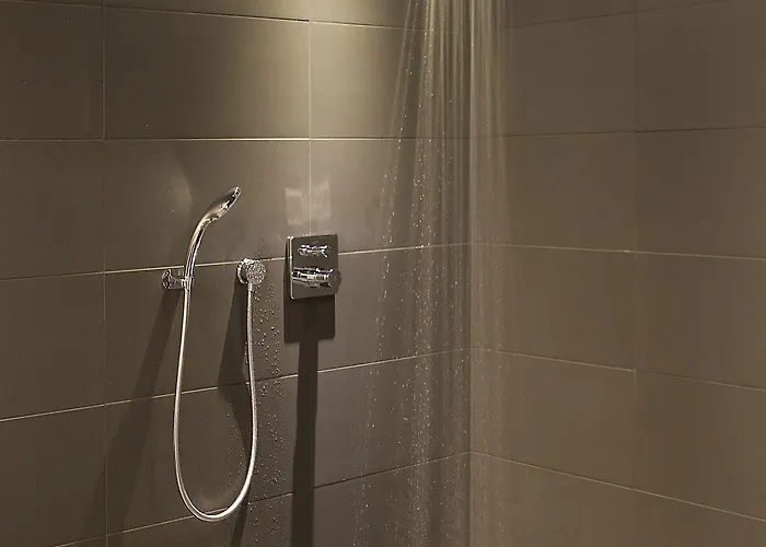 Hotel Fletcher Wellness-hotel Brabant-mill Mill