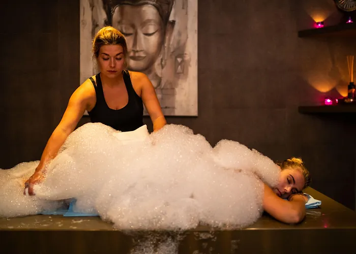 Fletcher Wellness-hotel Brabant-mill 4*