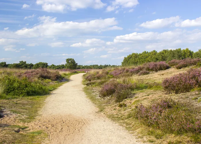 Hotel Fletcher Wellness-hotel Brabant-mill 4*