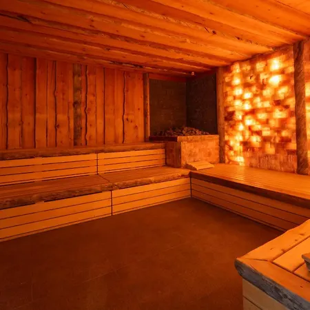 Hotell Fletcher Wellness-hotel Brabant-mill 4*